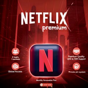 Netflix Subscription