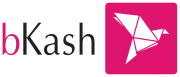 BKash-bKash2-Logo.wine